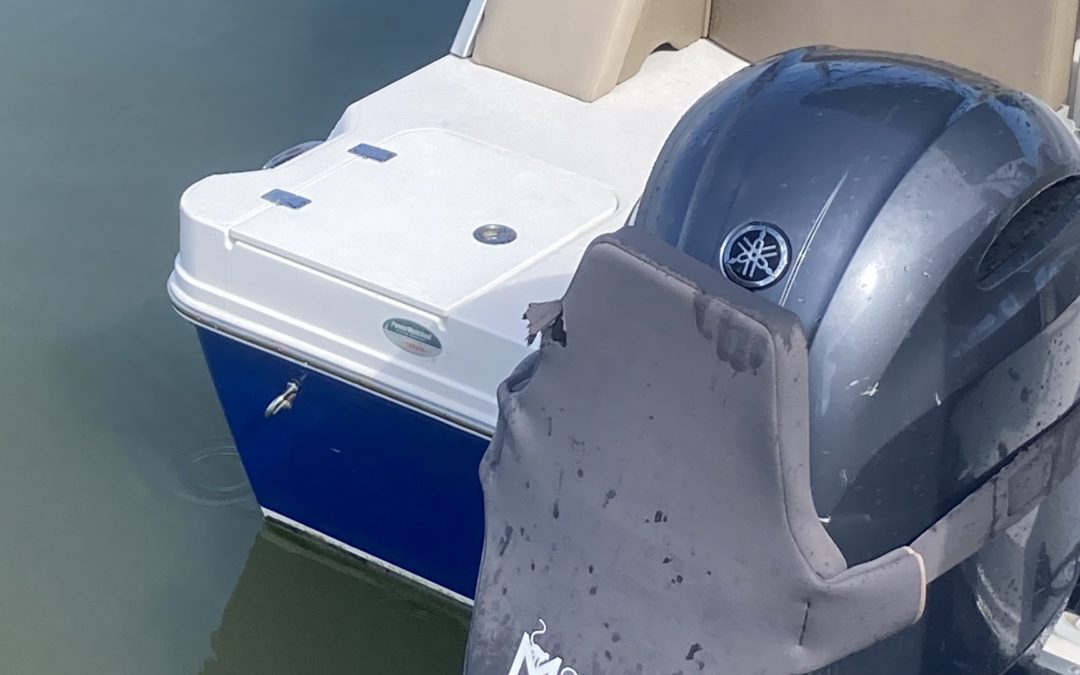 Boat Rental Companies LOVE Protecting Their Engines with Motor Monkey